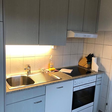 Cozy, Sunny, City Center 1 Bedroom Flat Zürich Exteriör bild