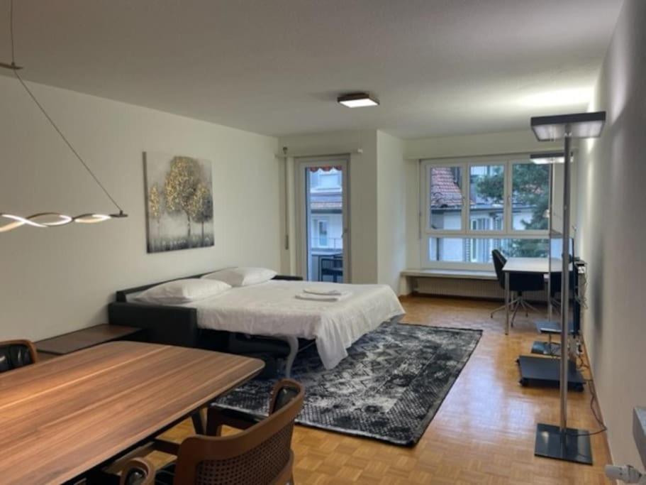 Cozy, Sunny, City Center 1 Bedroom Flat Zürich Exteriör bild