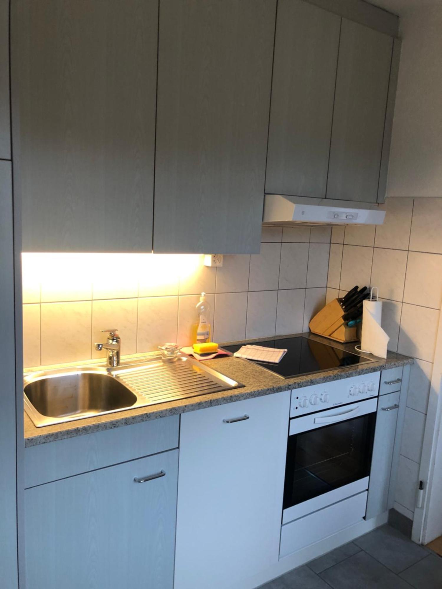 Cozy, Sunny, City Center 1 Bedroom Flat Zürich Exteriör bild